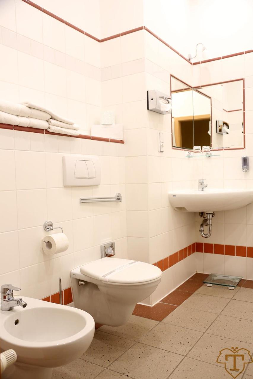 Riverside Apartments Thalia Карлові Вари Екстер'єр фото